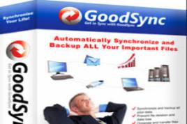 GoodSync Enterprise 10